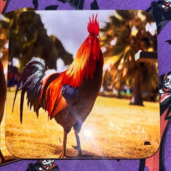 Colorful Rooster Coaster - Picture 1 of 11